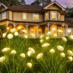 Lampes solaires de jardin à piquer motif champignons multicolores LED – Image 2